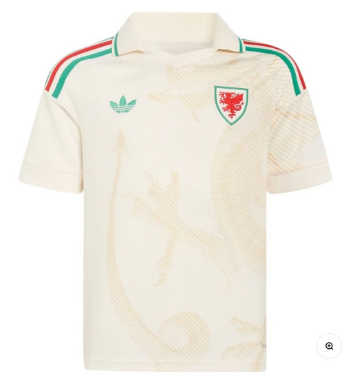 Maillot Pays de Galles Extérieur Coupe du Monde 2026 vu de face
