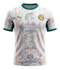 Maillot Sénégal Domicile Coupe du Monde 2026