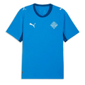 Maillot Islande Domicile Coupe du Monde 2026