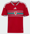 Maillot Pays de Galles Domicile Coupe du Monde 2026