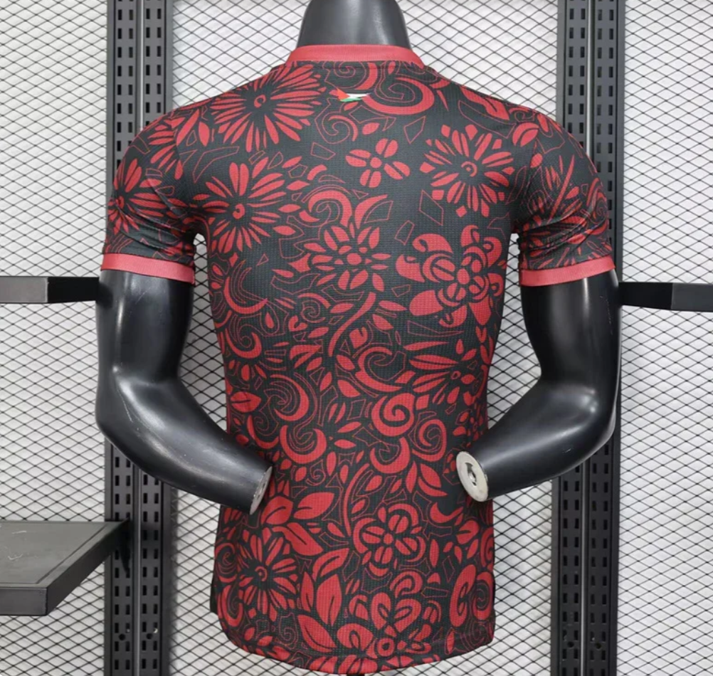 Maillot Concept Palestine